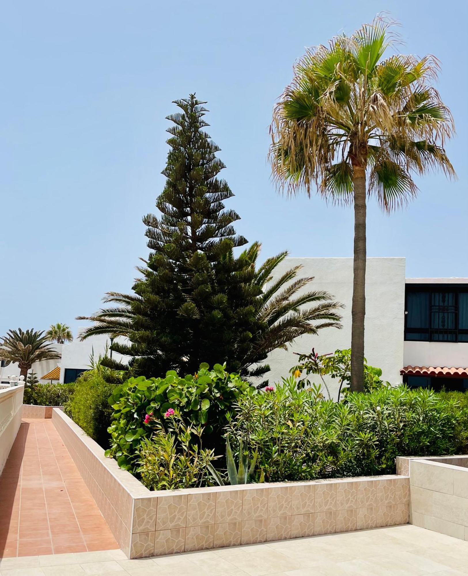 Apartamento Aloha - Costa Del Silencio *
